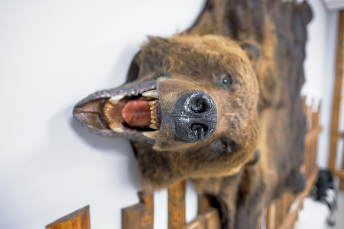 Интерьер кафе