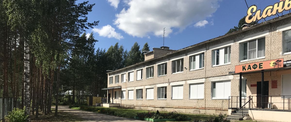 Отдых рядом с сосновым лесом